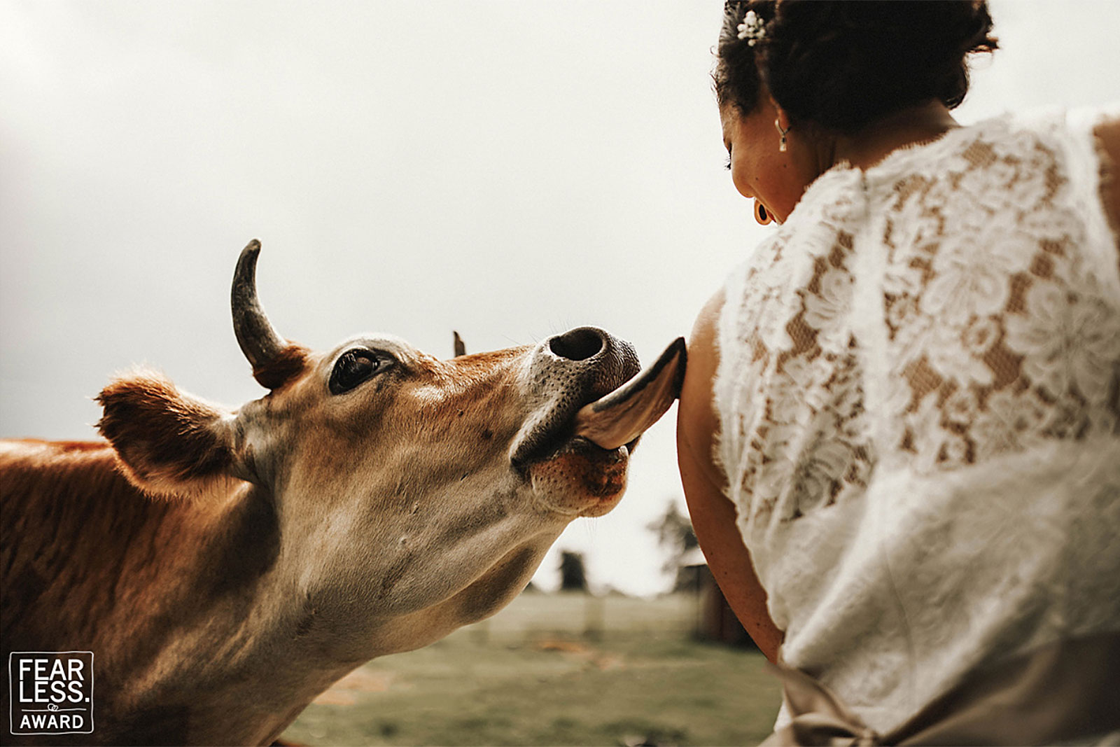 premio fearless photographers