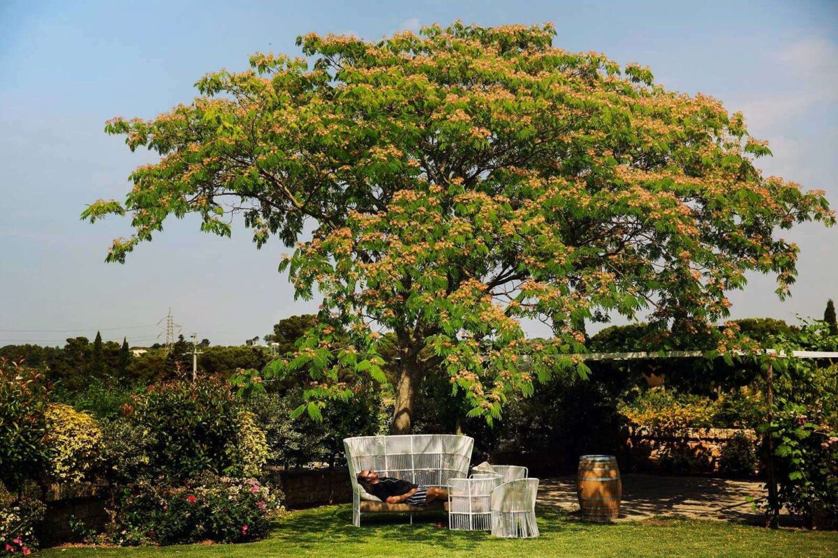 Nel cuore della Puglia il felice per sempre di Paulo e Ornella